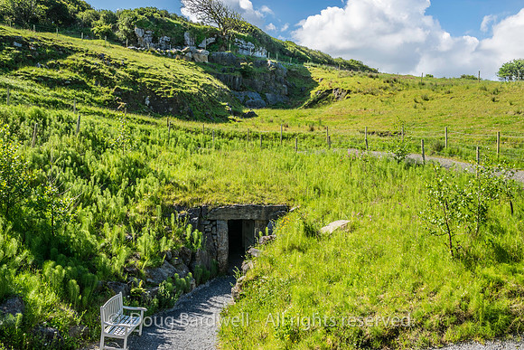 Ireland-4297