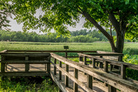 Sheldons_Marsh-8330