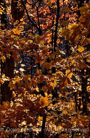 121024-3253__H