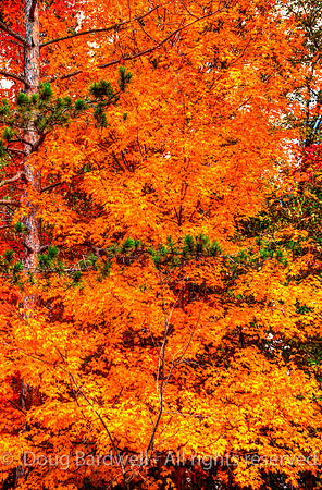 121016-2449_H