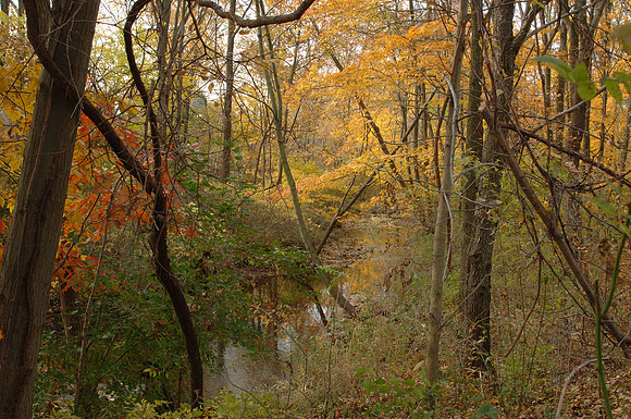 dsc_2696-s