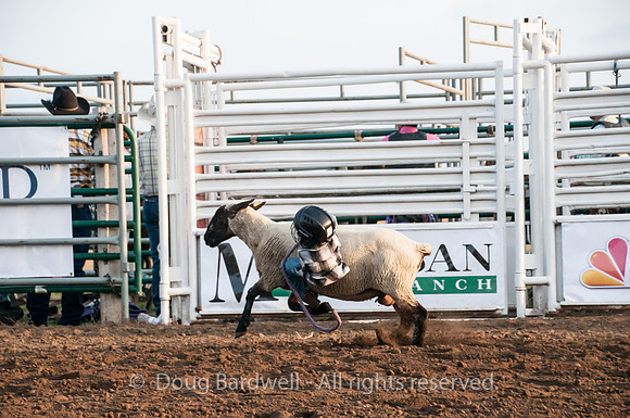 Rodeo-7610