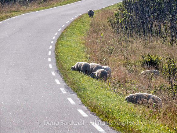 Norway-0107