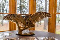 Bald Cypress Nature Center-8932