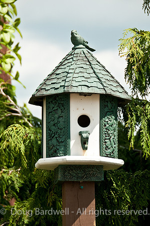 100515_3CS0331