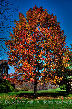 121024-3238__H