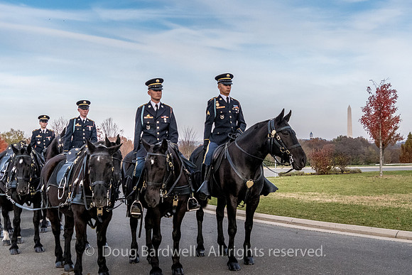 Arlington -181119-9650