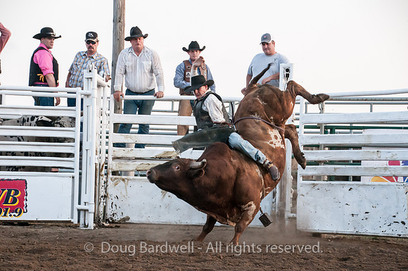 Rodeo-7679