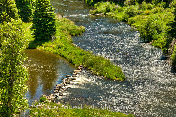 100806_3CS1185_H