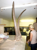 111012IMG_0381