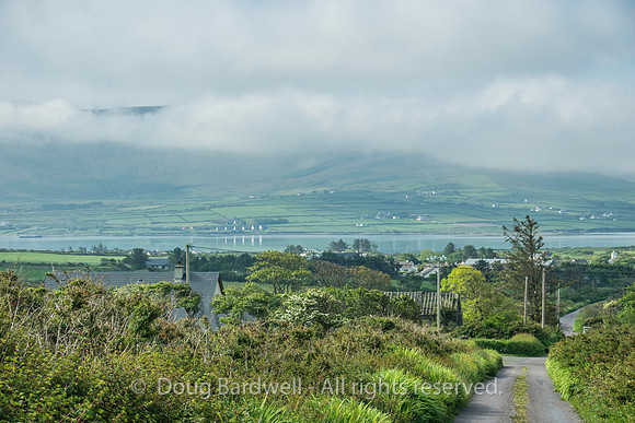 Ireland-4930