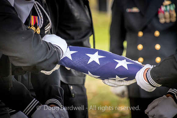 Arlington -181119-9845