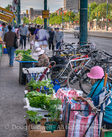 ChinatownToronto-15