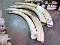 111012IMG_0351