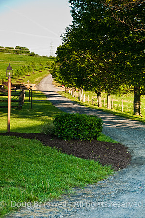 100515_3CS9945
