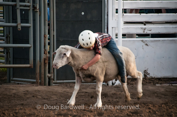 Rodeo-7563