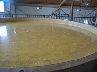 Willett_Distillery-7900