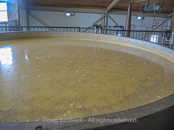 Willett_Distillery-7900