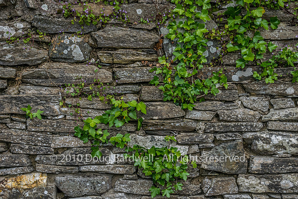 Dunfanaghy-1462