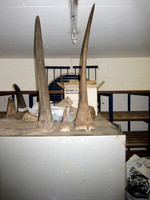 111012IMG_0376