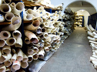 111012IMG_0354