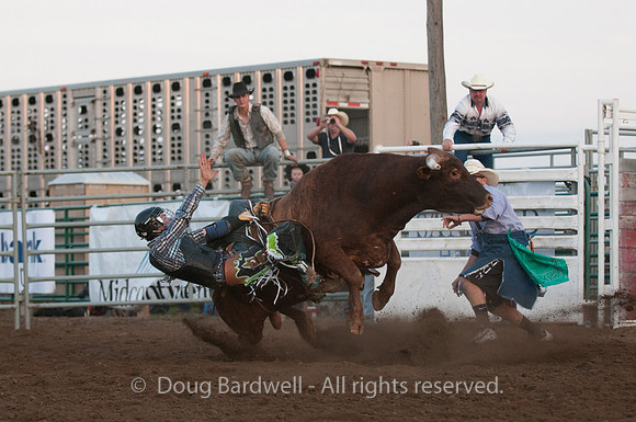 Rodeo-7728