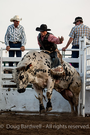 Rodeo-5954