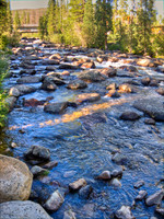 100806IMG_3281_H