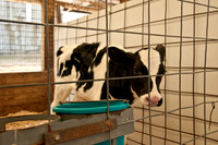 100514_3CS9725