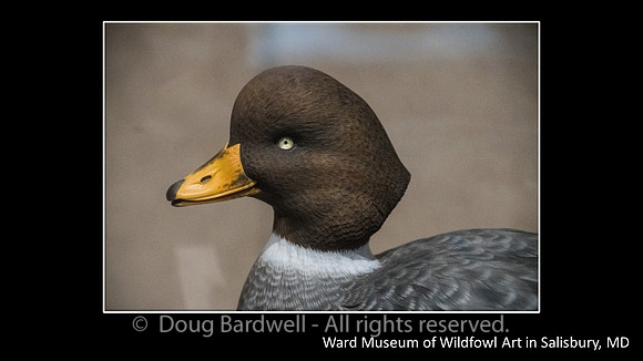 Slide71