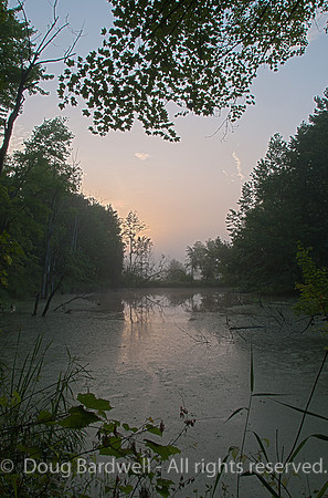 110730_DSC9809-PS