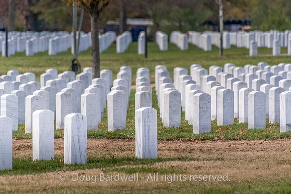 Arlington -181119-9889