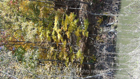 121016DSC00190