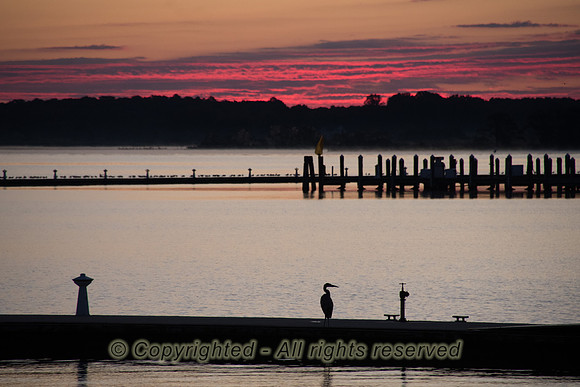 170908-4370