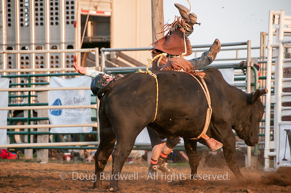 Rodeo-7642