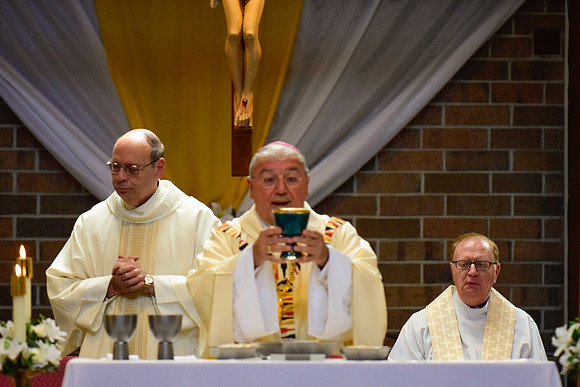 Confirmation-4728