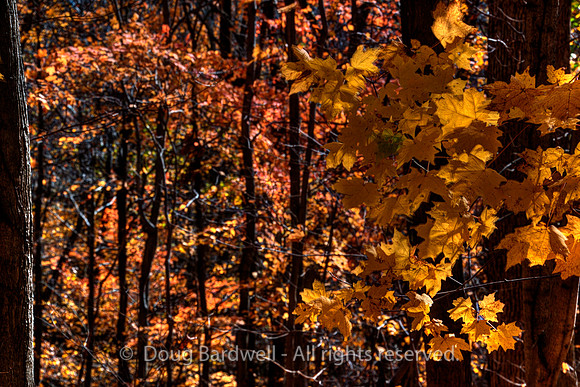 121024-3263__H