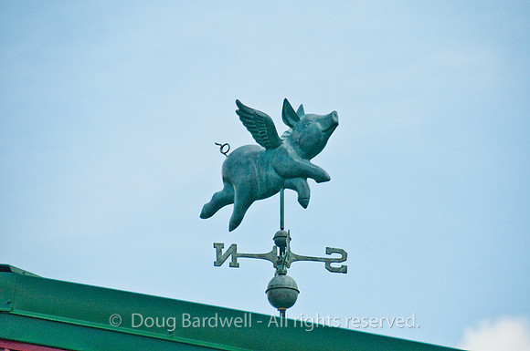 100514_3CS9776