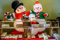 2016 Life Teen Christmas Sale