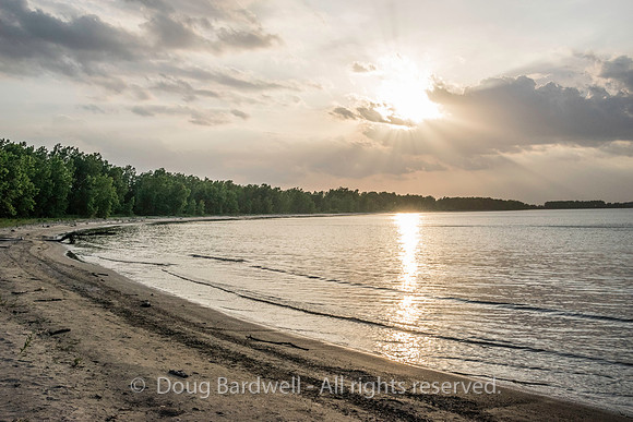 Sheldons_Marsh-8365