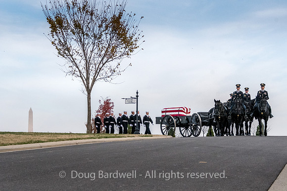 Arlington -181119-9681
