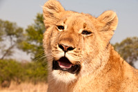 Zimbabwe