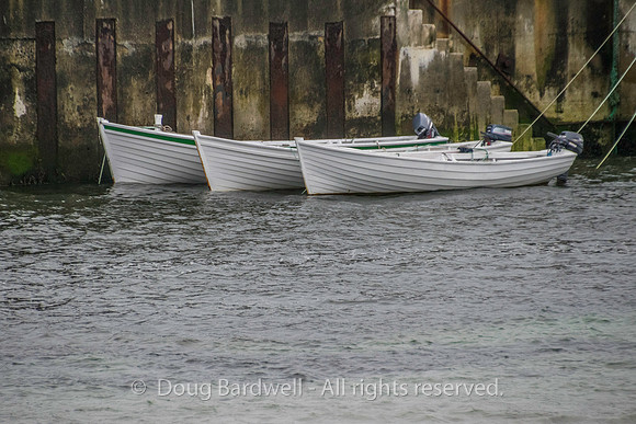 Donegal-1396