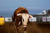 Rodeo-7854