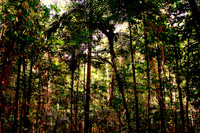 110627_DSC7471-PS-PS