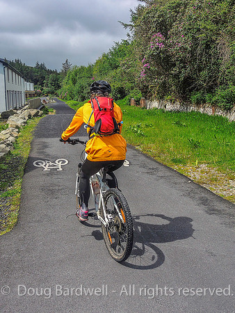 WildAtlanticWay-8642