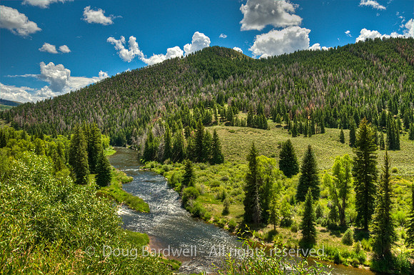 100806_3CS1177_H