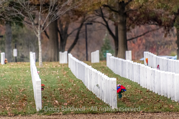 Arlington -181119-9887