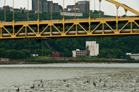 100605_3CS3589