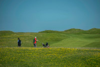 Ireland-4239